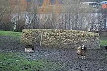 Un mouton debout devant un mur circulaire en pierres sèches.