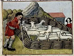 Gravure médiévale représentant des moutons placés dans un enclos.