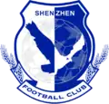 Shenzhen Asia Travel(2009-2010)