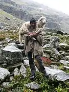 Berger au col de Hampta.