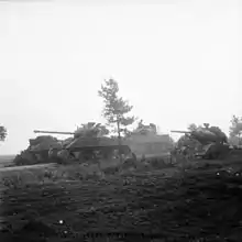 Un Troop (deux Shermans 75 mm appuyés par un Firefly) des Irish Guards pendant la progression vers Arnhem