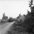 M4 Shermans des Guards sur la Hells Highway vers Arnhem. L'insigne de la division est visible sur l'arrière du char embusqué dans la haie