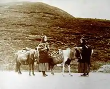 Photo en noir et blanc jaunie par le temps représentant deux femmes dans un paysage valloné accompagnées de deux poneys équipés de larges paniers sur le dos.