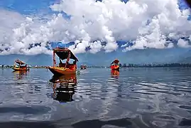 Shikara (gondoles cachemiri) sur le lac Dal à Srinagar, Cachemire.