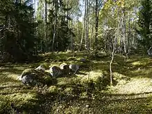 Photographie de pierres alignées sur un terrain boisé