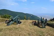 Photographie de deux canons au sommet d'une colline.