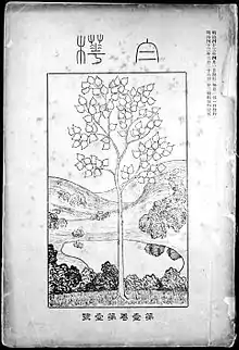 Premier numéro de la revue Shirakaba (1910).
