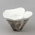 Forme blanche (Shiroi no gata), Koike Shoko, Céramique, Grès, Porcelaine, Glaçure = Couverte, Gravé = incisé, 2011.