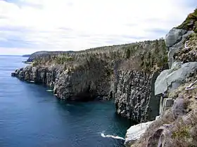 La côte très découpée de la péninsule d'Avalon.