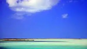 Rivage de l'île de North Caicos