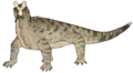 Shringasaurus