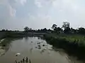Shuk_River at Thakurgaon Sadar Upazila