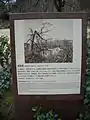 Plaque décrivant Shukkei-en à l'époque du bombardement atomique.