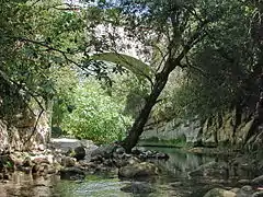 Ponts jumelés