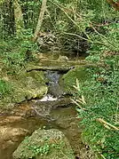 Confluence Siagnole et Vallon de San Peyre