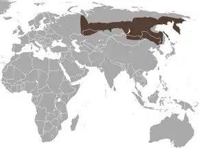 Description de l'image Siberian_Large-toothed_Shrew_area.png.