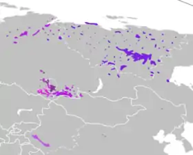 Image illustrative de l’article Langues turques sibériennes