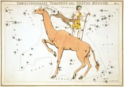 Carte no 2 : La Girafe, le Renne et le Messier