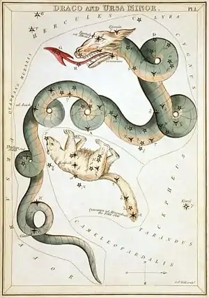 La Petite Ourse, lovée dans la figure du Dragon, dans l’Urania's Mirror, 1824.