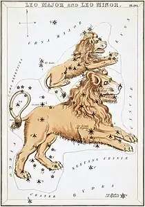 Carte no 20 : Le Lion et le Petit Lion