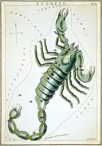 Carte no 23 : Le Scorpion