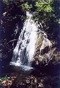 Cascade dans le Sidobre (bas du saut de la Truite)