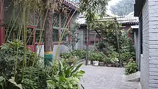 Jardinet à l'intérieur d'un siheyuan, Pékin, 2012