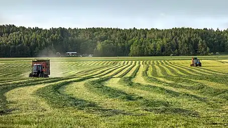 Agriculture à Brastad.