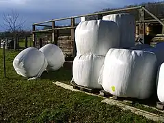 Le plastique blanc accumule moins de chaleur et rend d'éventuelles déchirures ou trous plus visibles (ici près de Bâle, en Suisse)