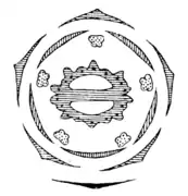 Diagramme floral de Laserpitium.
