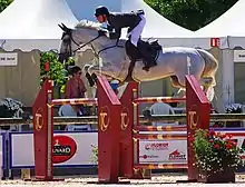 Cheval gris monté sautant un obstacle rouge, vu de profil.