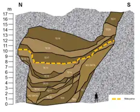 Séquence stratigraphique de la Sima del Elefante.