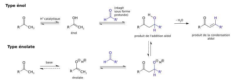 Un résumé de la réaction aldolique