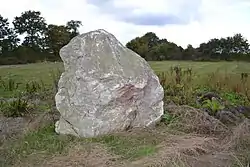 Image illustrative de l’article Roche à la Bergère