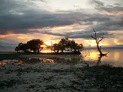 La plage de Sandugan à Larena.