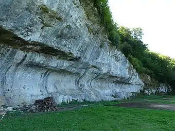 Le pied de la falaise de calcaireproche de la grotte.