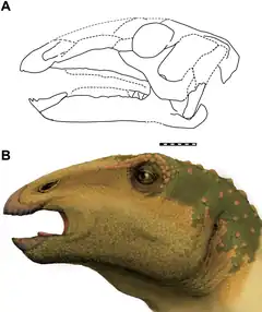 Description de cette image, également commentée ci-après