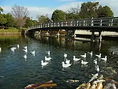 Jardin du cygne