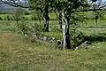 Dolmen des Bourines 1