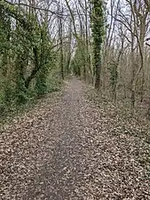 Site propre de l'Arpajonnais à Leuville-sur-Orge.