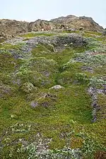 Photographie en couleurs d'anciens sites d'habitation installés au sein de cirques rocheux recouverts de lichens.