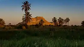 Siwa (oasis)