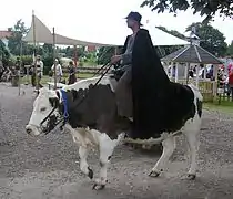 Bœuf comme moyen de transport.