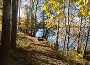 Sentier de promenade sur la rive du lac Mälar.