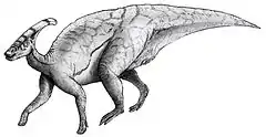 Reconstitution Parasaurolophus.