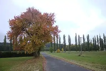 Route à Skránčice.