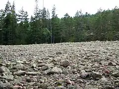 Amas de pierres polies par les vagues avant d'être totalement émergées par le rebond post-glaciaire.