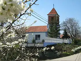 Slankamenački Vinogradi