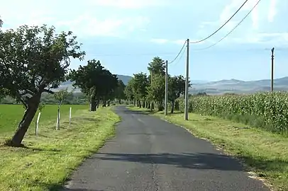 Slavětín : route de campagne.