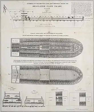 Plan du navire esclavagiste le Brookes qui montre l'extrême surpopulation dont étaient victimes les esclaves du commerce transatlantique